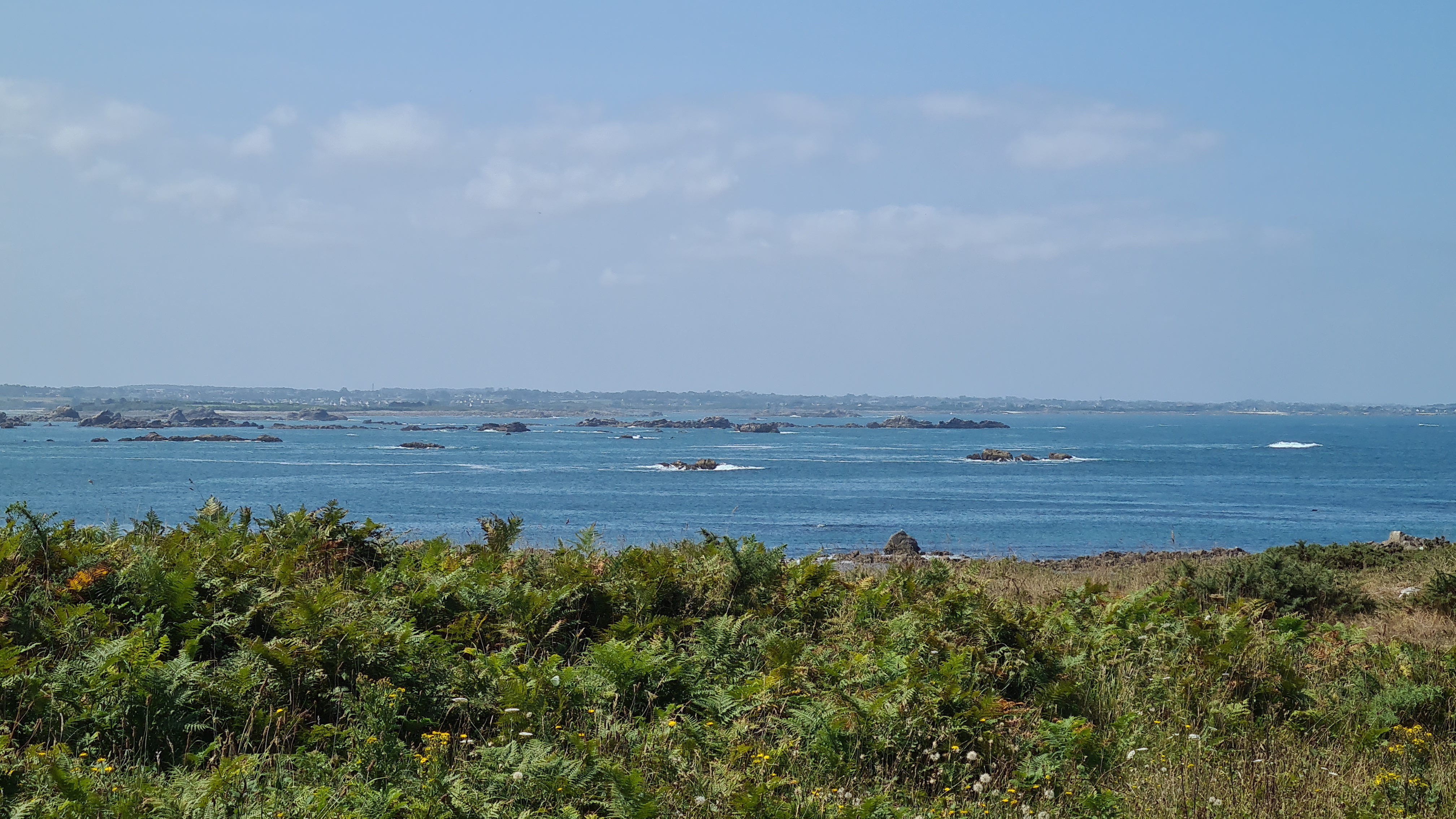 Thomas konzentriert am Steuer