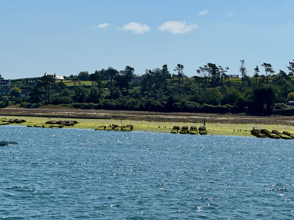 Austernbänke in Aber Wrac'h