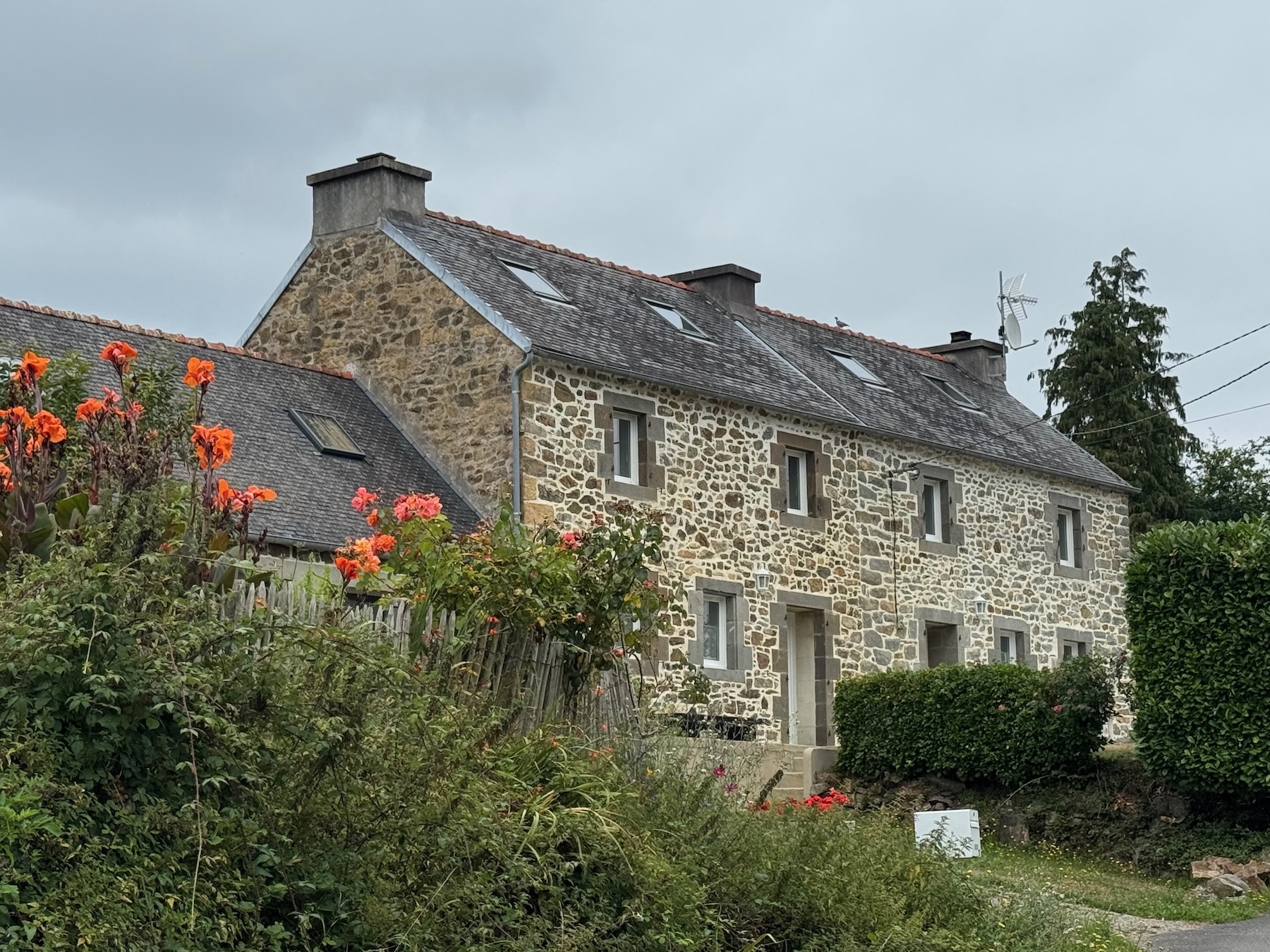 Ferienhaus mit Cannas