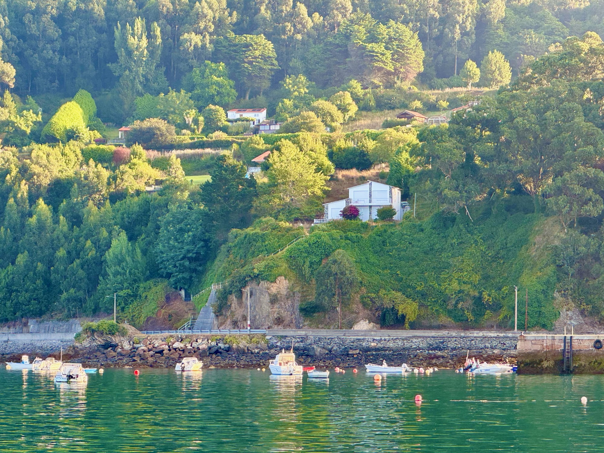 Üppiges Grün in Cedeira