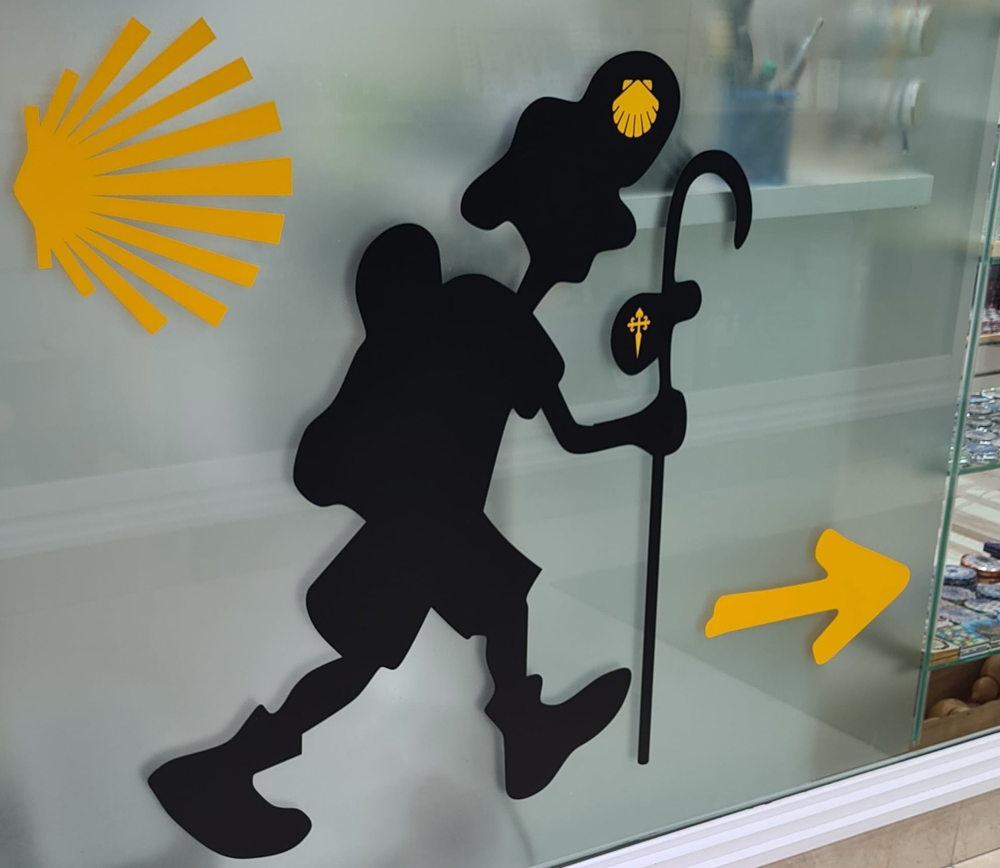 Jakobsmuschel Detail