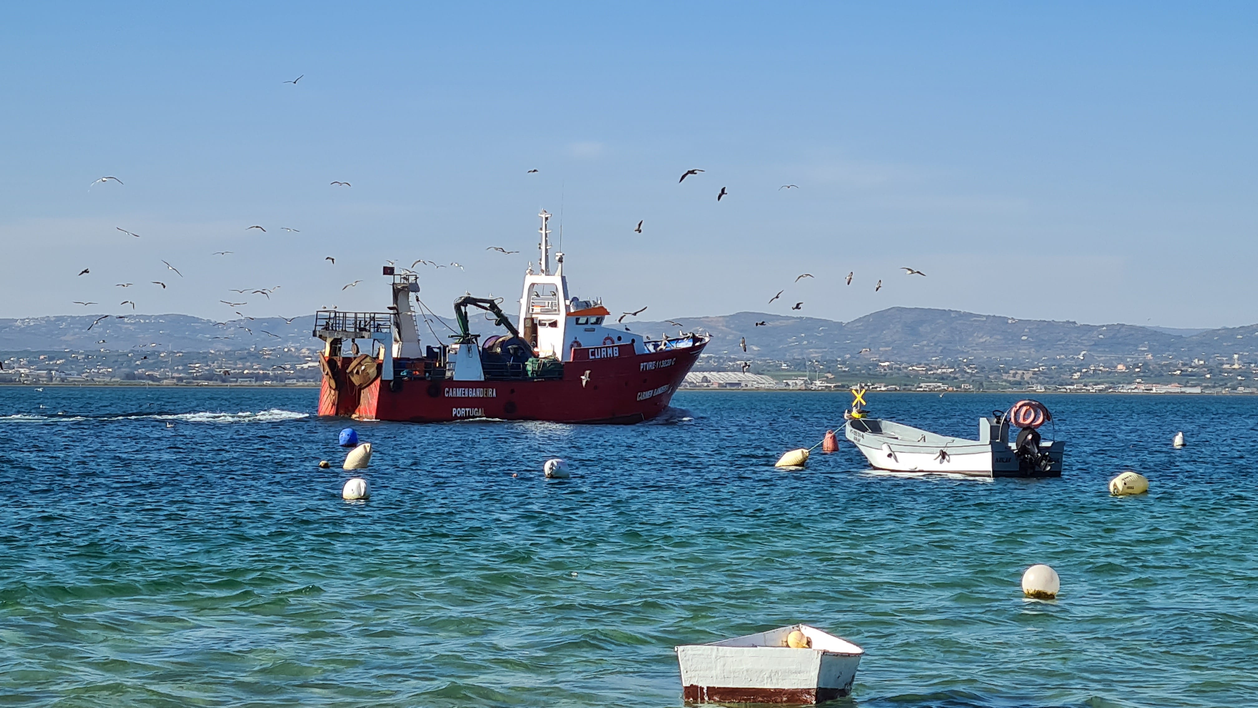 Fischerboot kehrt zurück