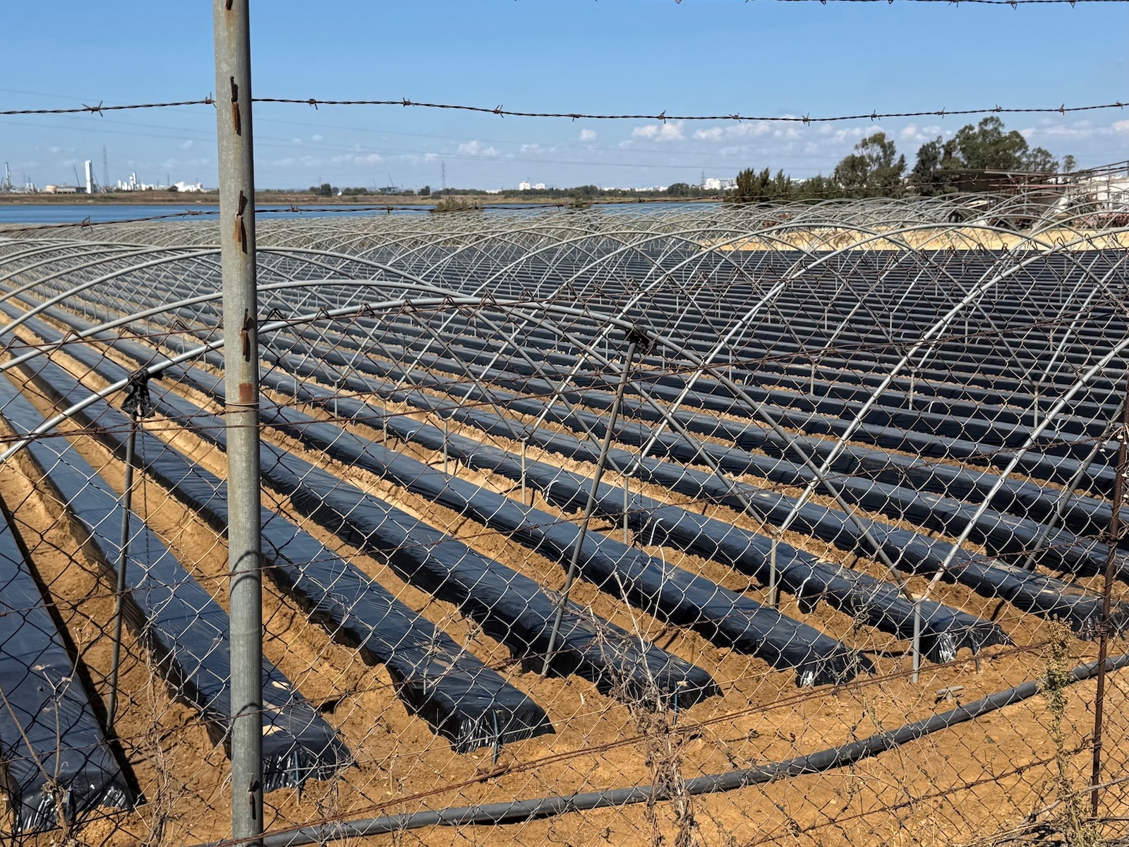 Plastikfelder in der Nähe von Huelva