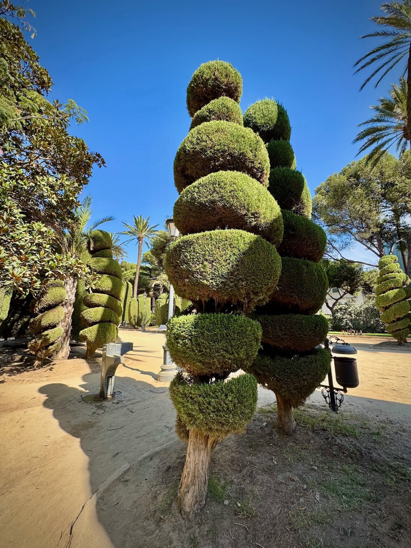 Gartenkunst in Cadiz