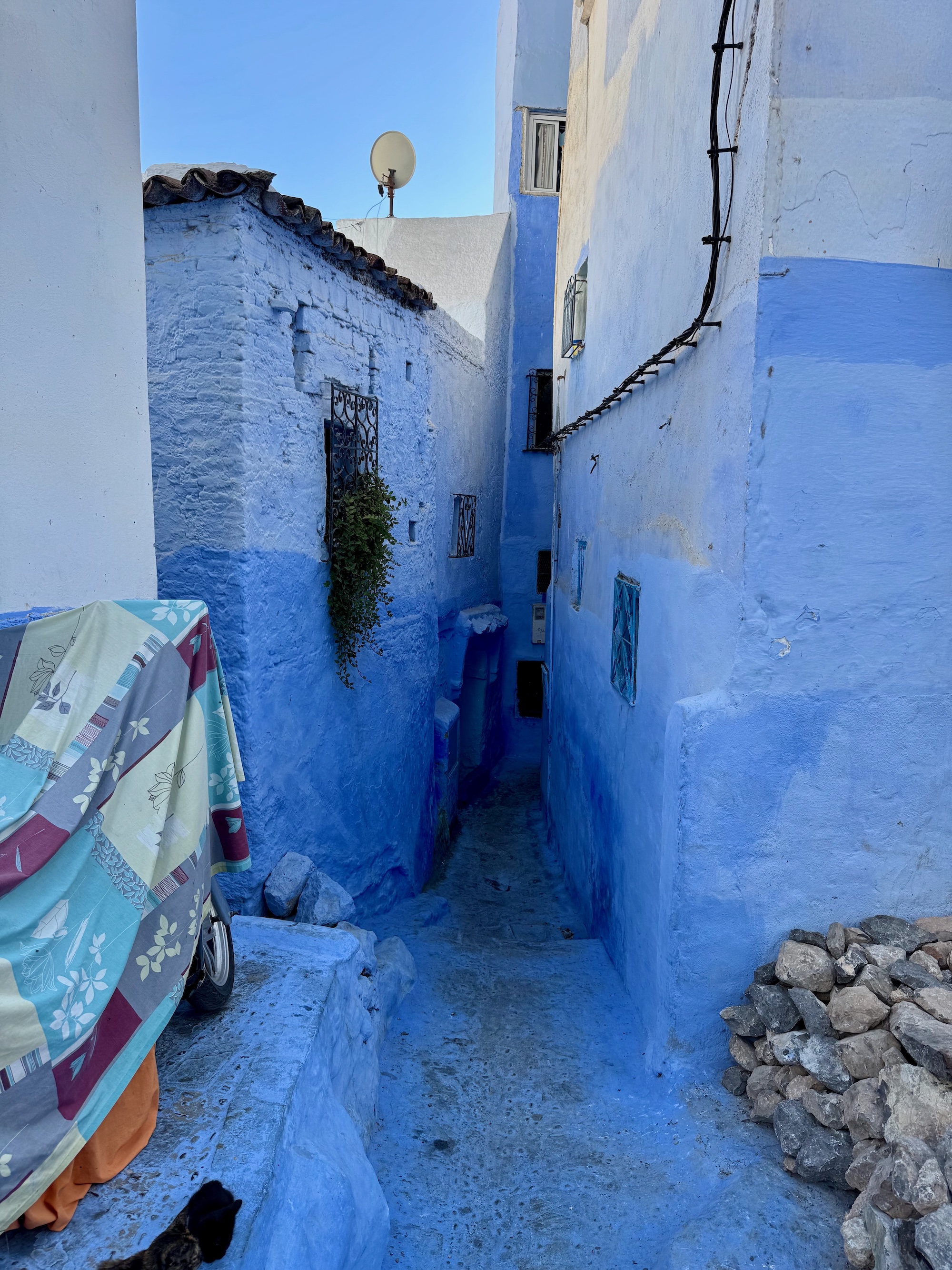 Blau in allen Schattierungen