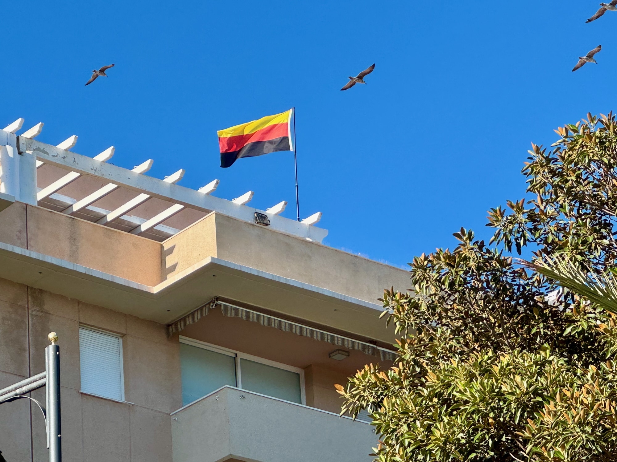 Entdeckt: So geht es auch