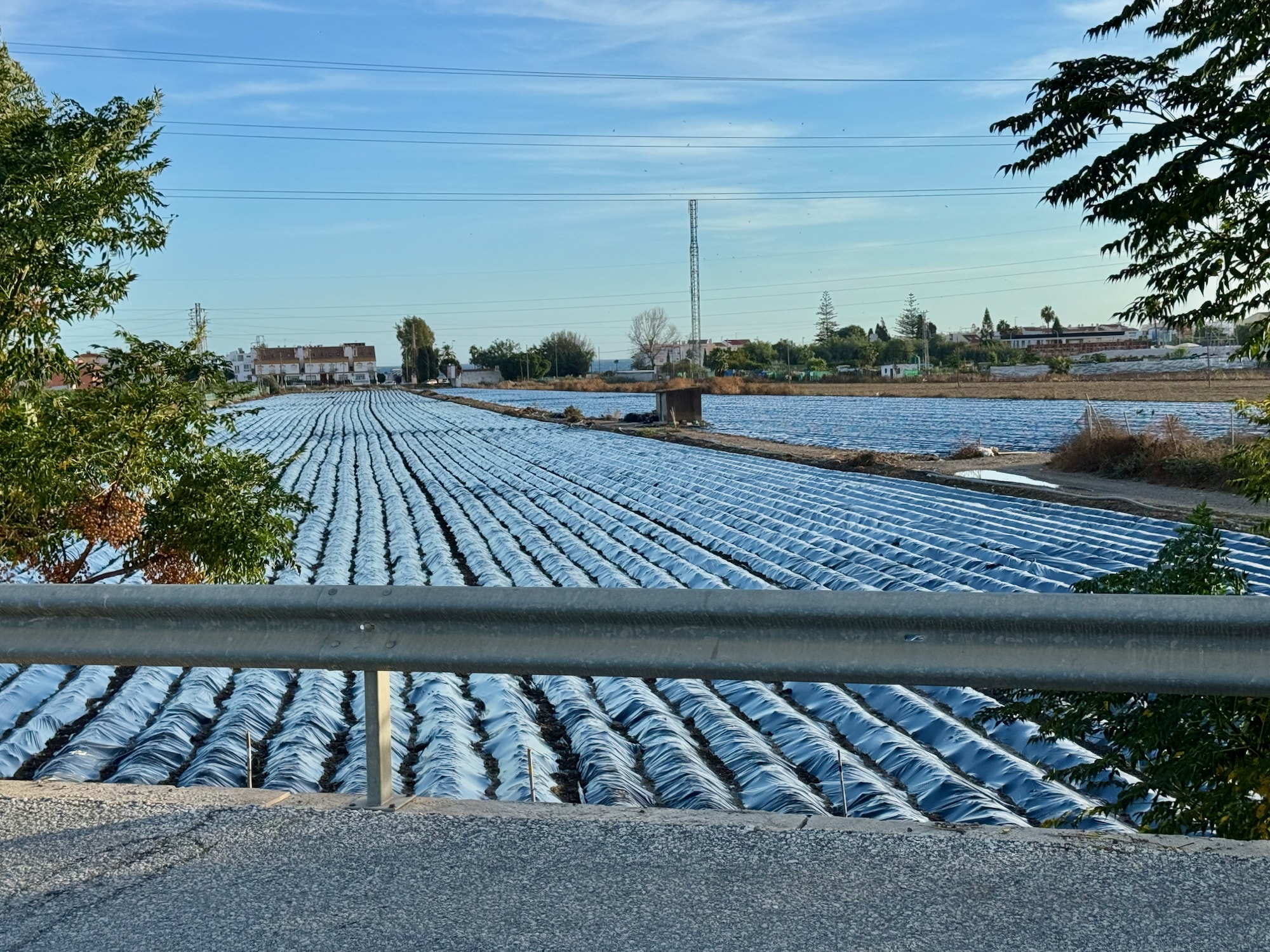 Ausflug in die Berge: Gemüseanbau
