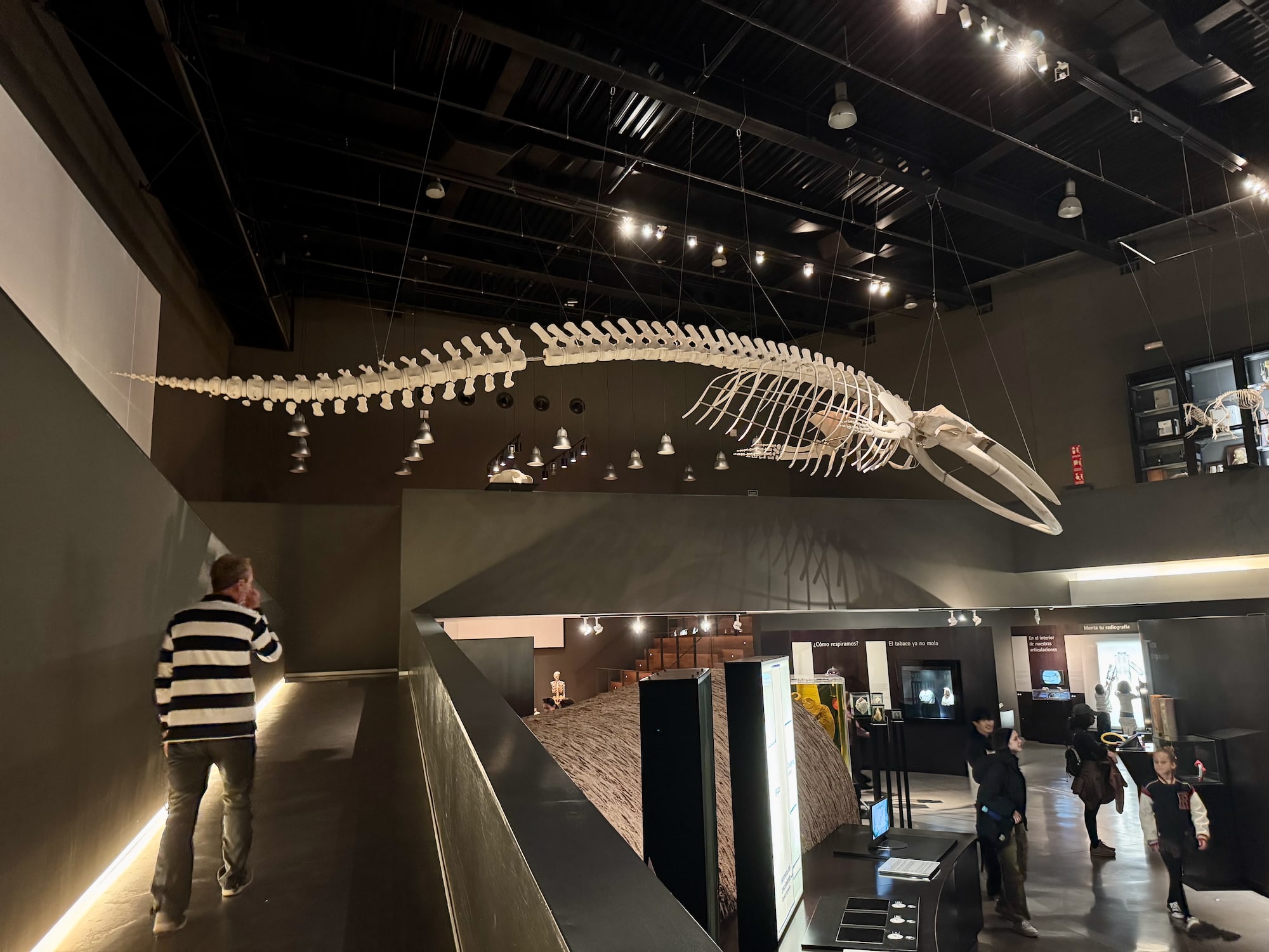 Faszination Wissenschaften