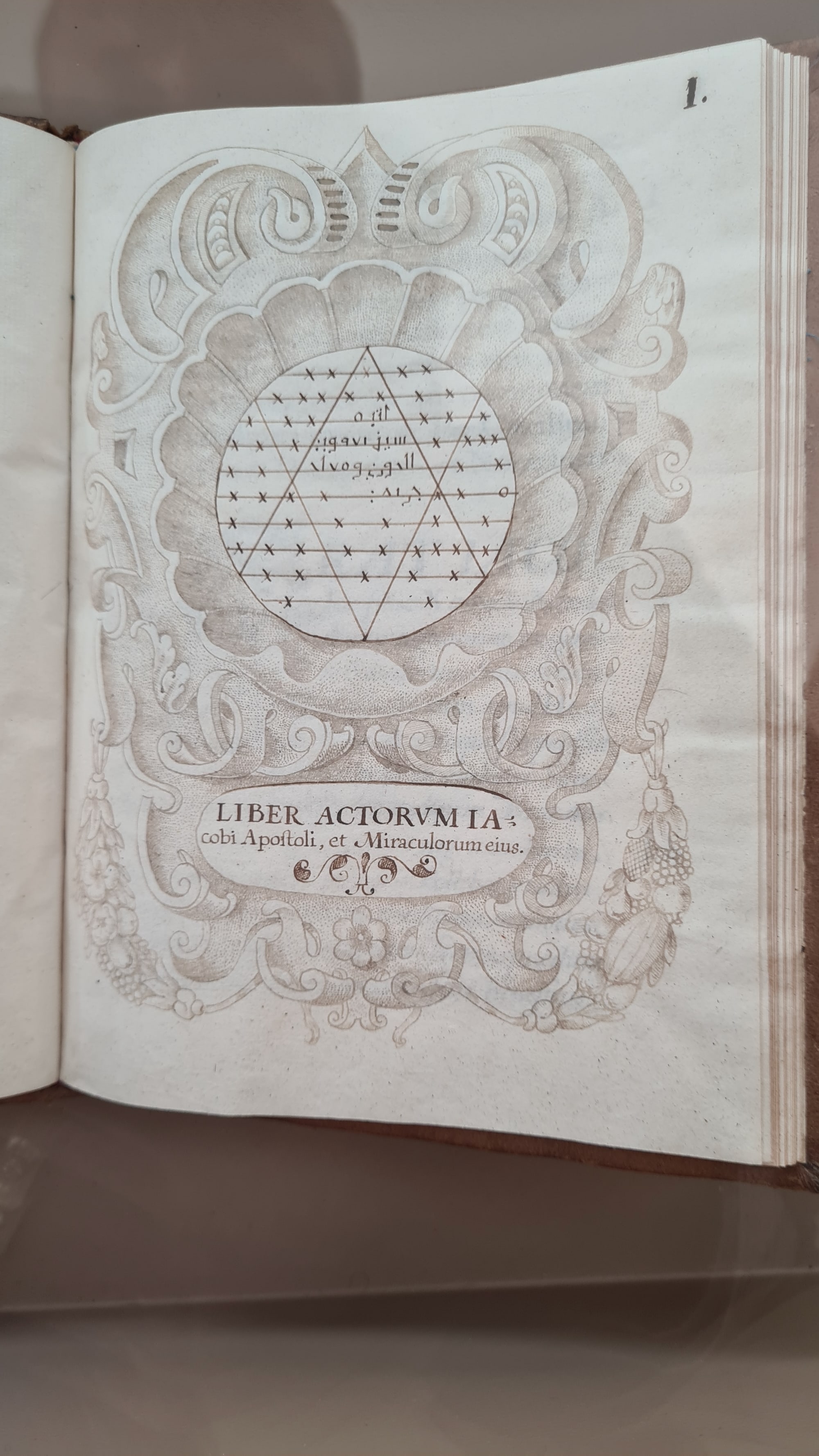 Sacromonte - Wissenschaftliche Schriften