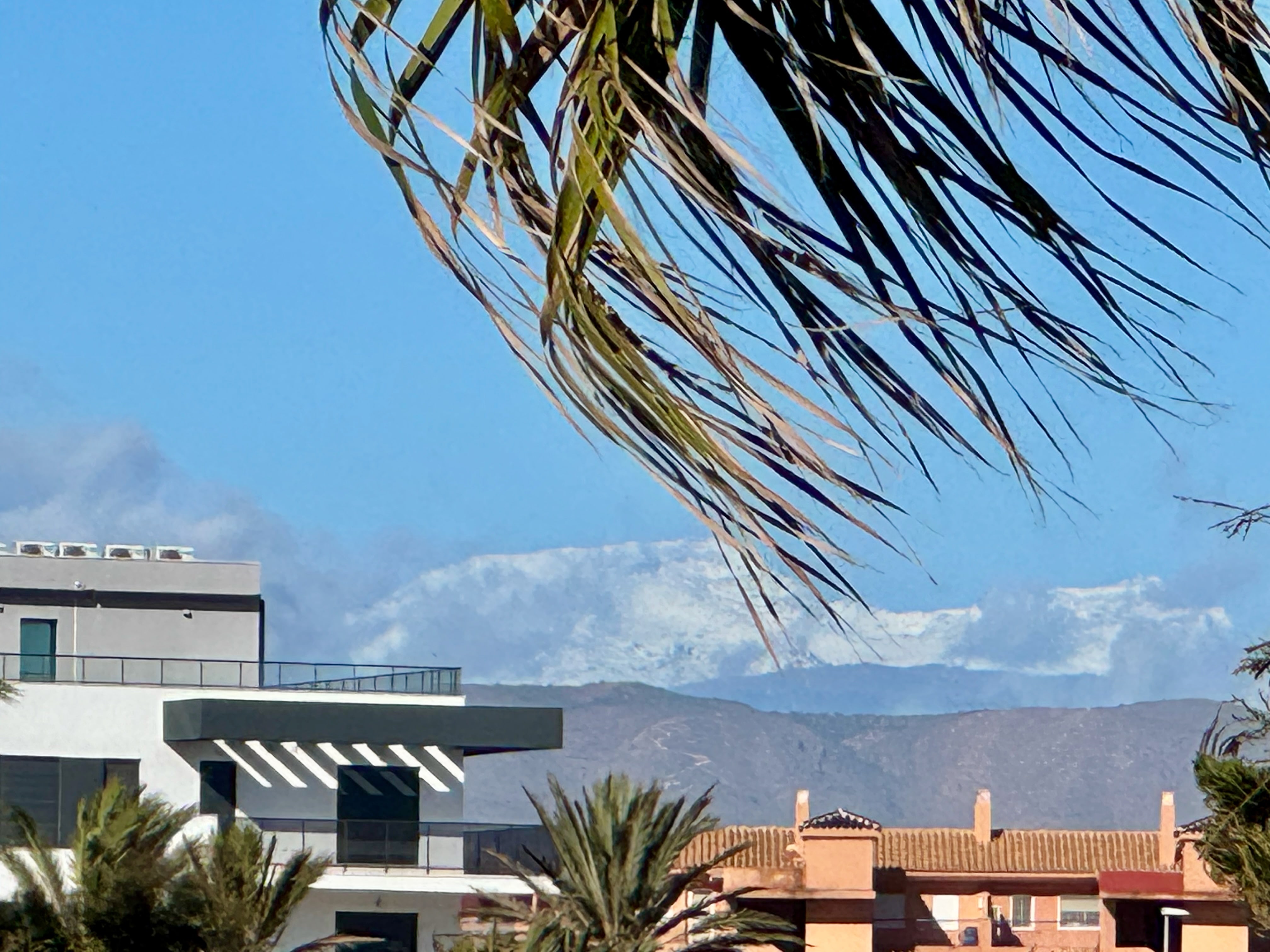 Promenade unter Palmen mit schneebedeckten Bergen