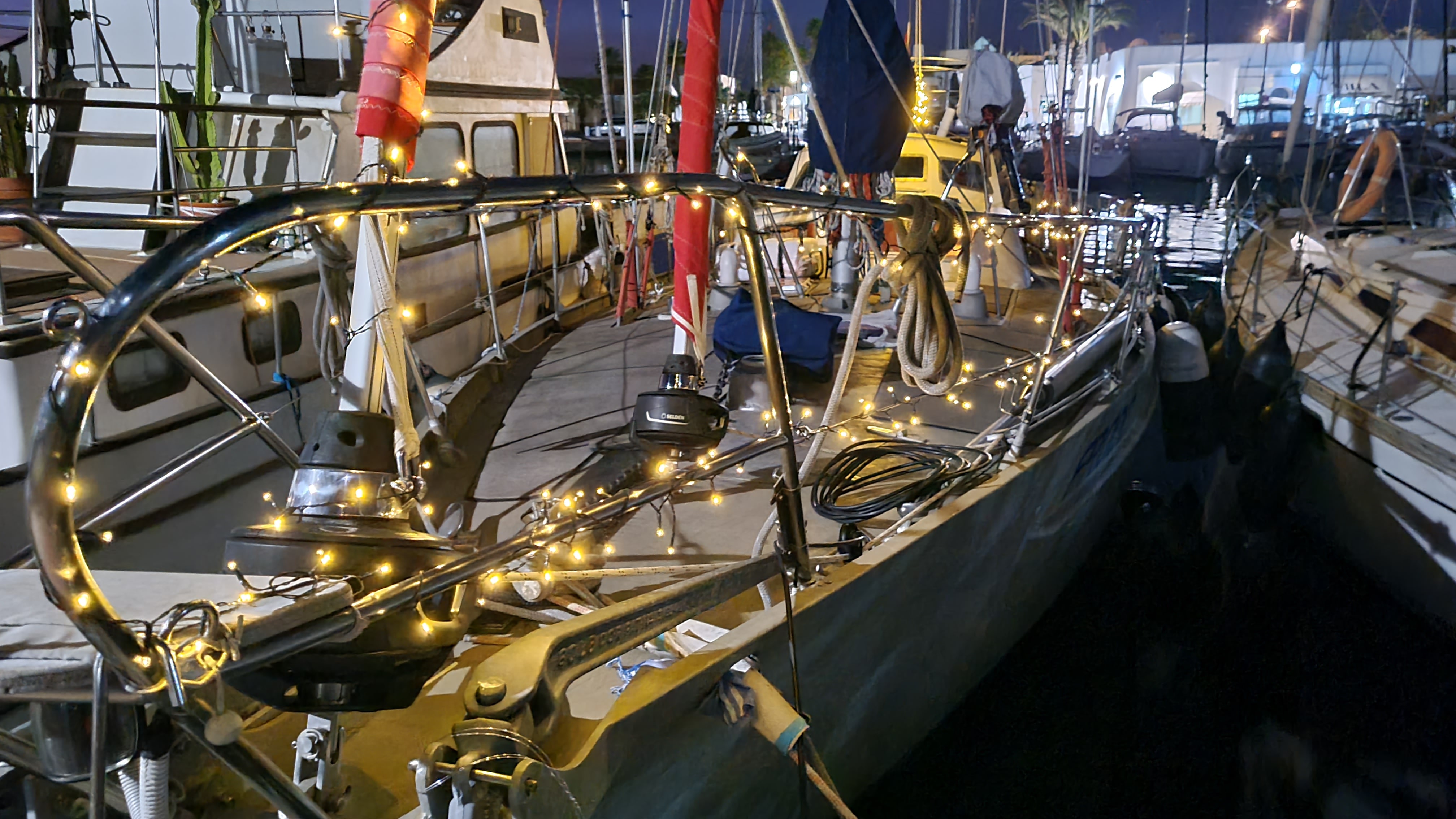 Frodo im Weihnachtskleid