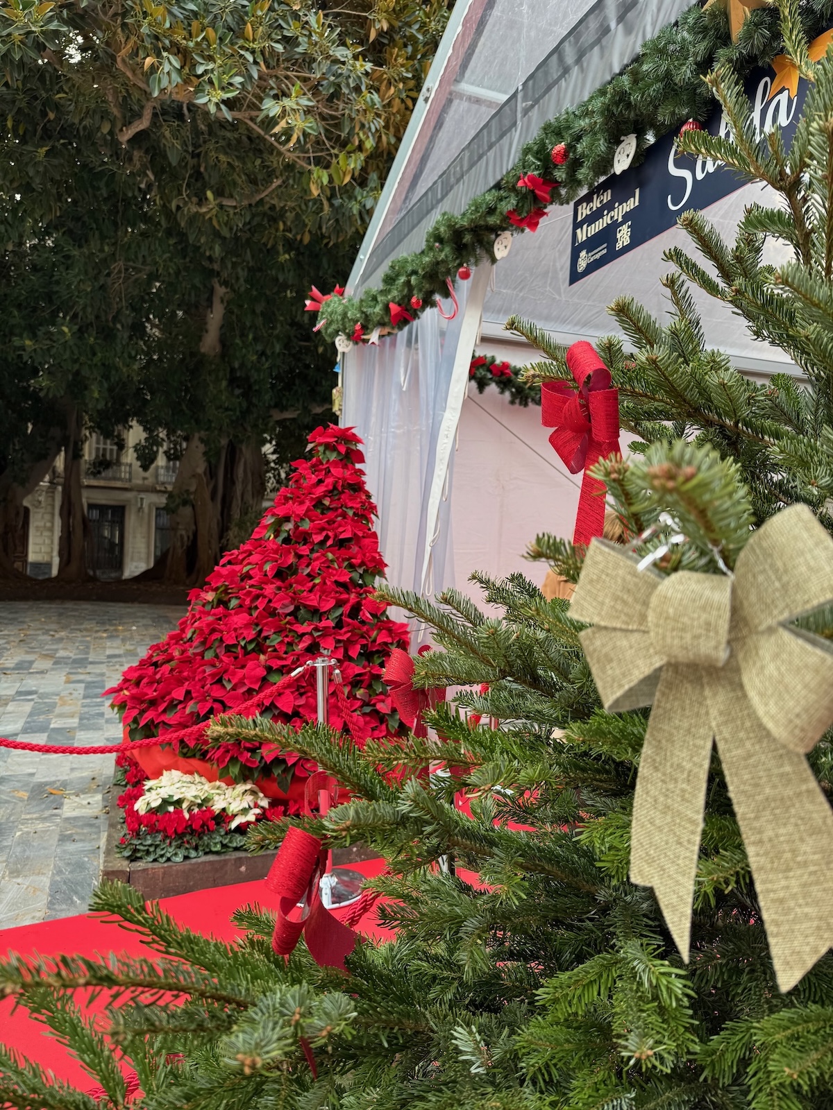 Riesiges Zelt mit Krippenspiel