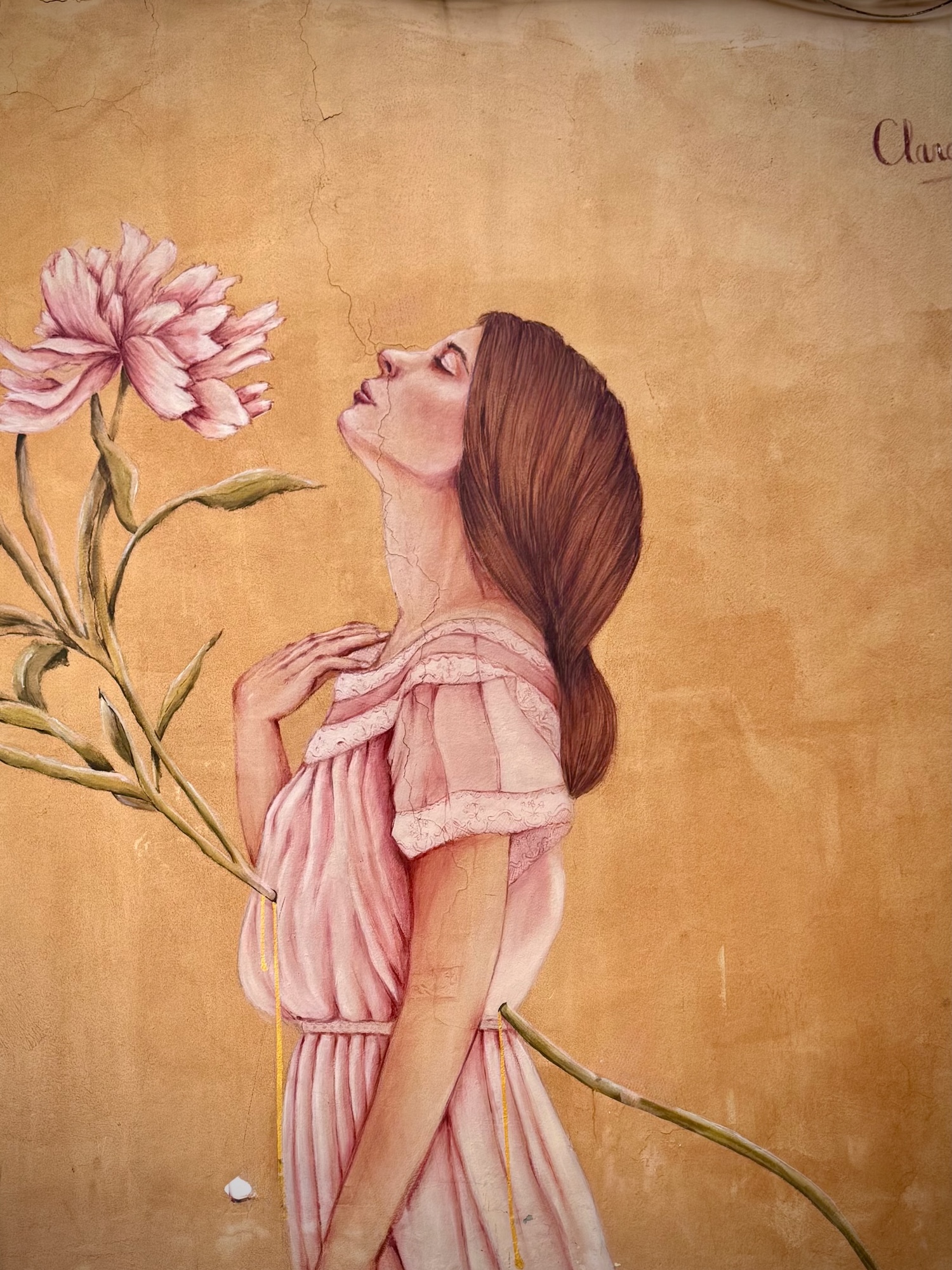 Cartagena hat uns tief berührt