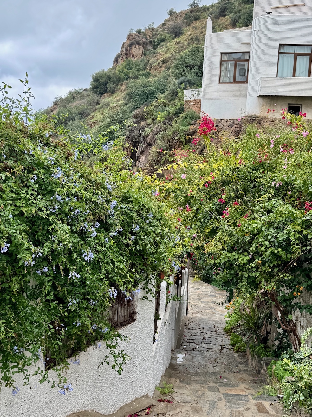 Strömender Regen, überbordende Blüten