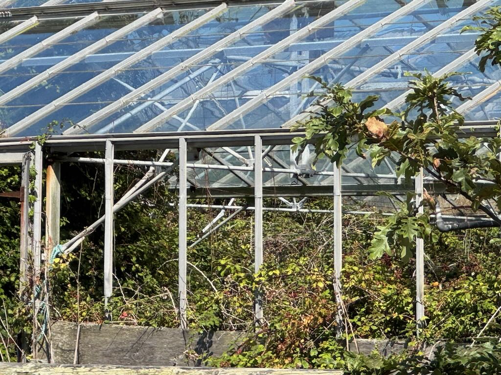 Gewächshaus auf Guernsey