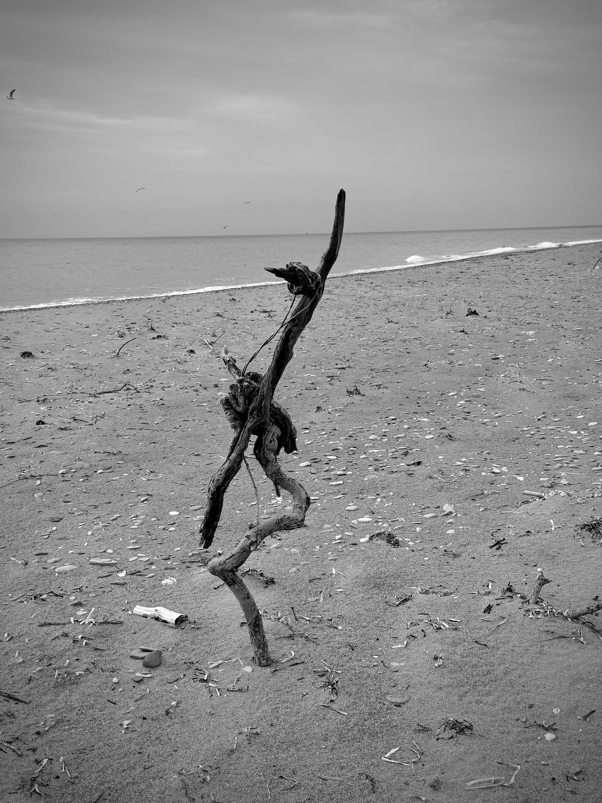 Strandkunst 03