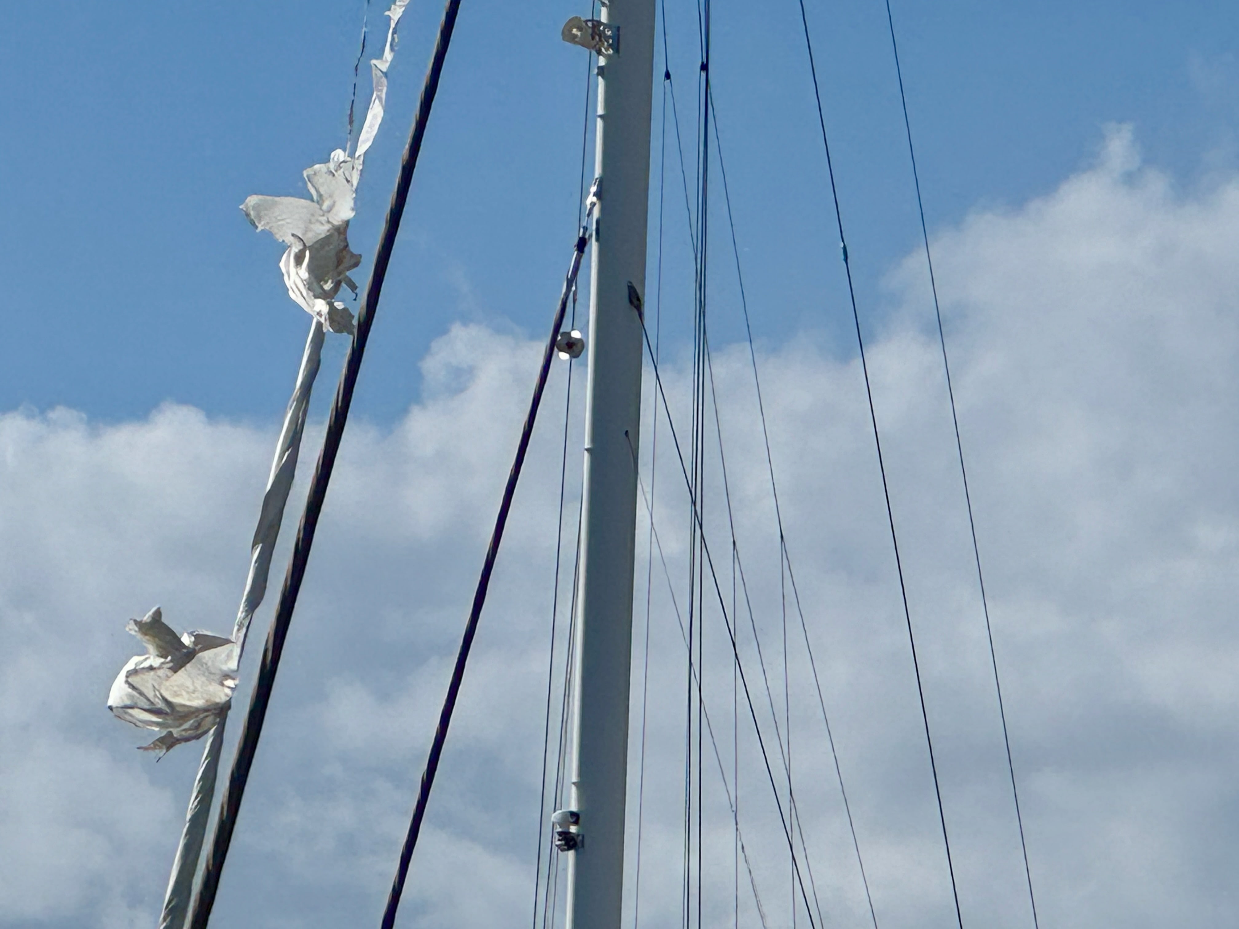 Zerfetztes Vorsegel am größten Katamaran in der Marina