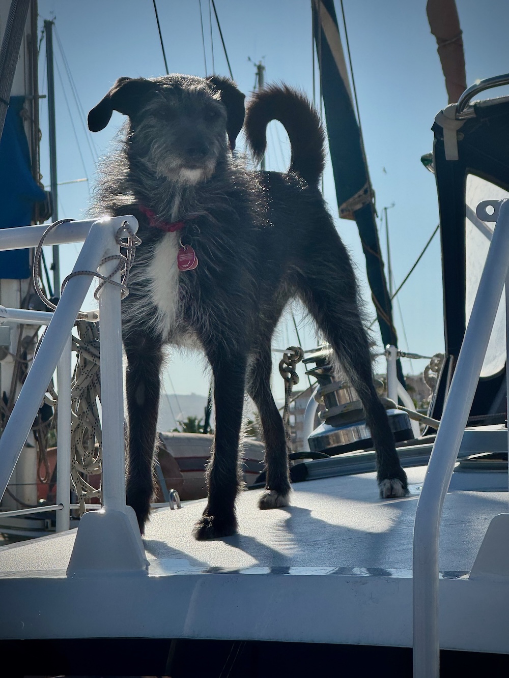 Prinzessin Käppi an Bord der Mariposa