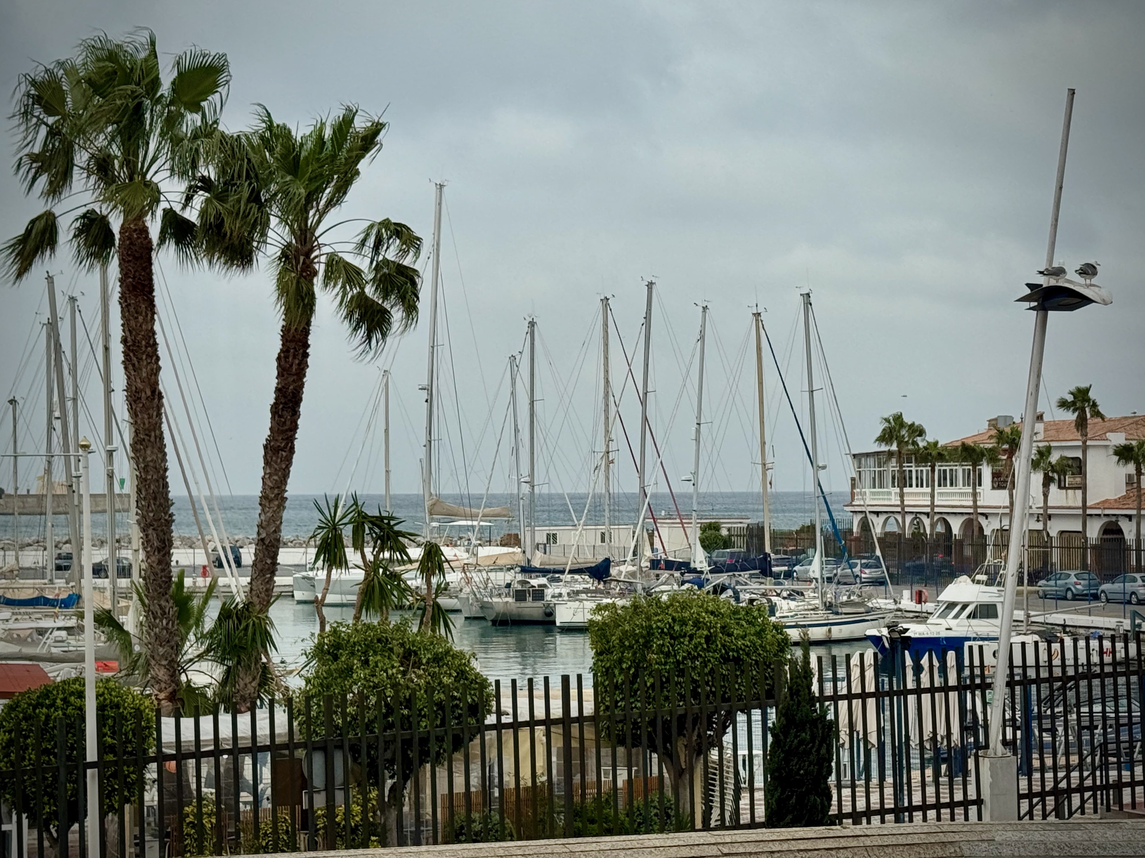 Frodo in der Marina von Ceuta