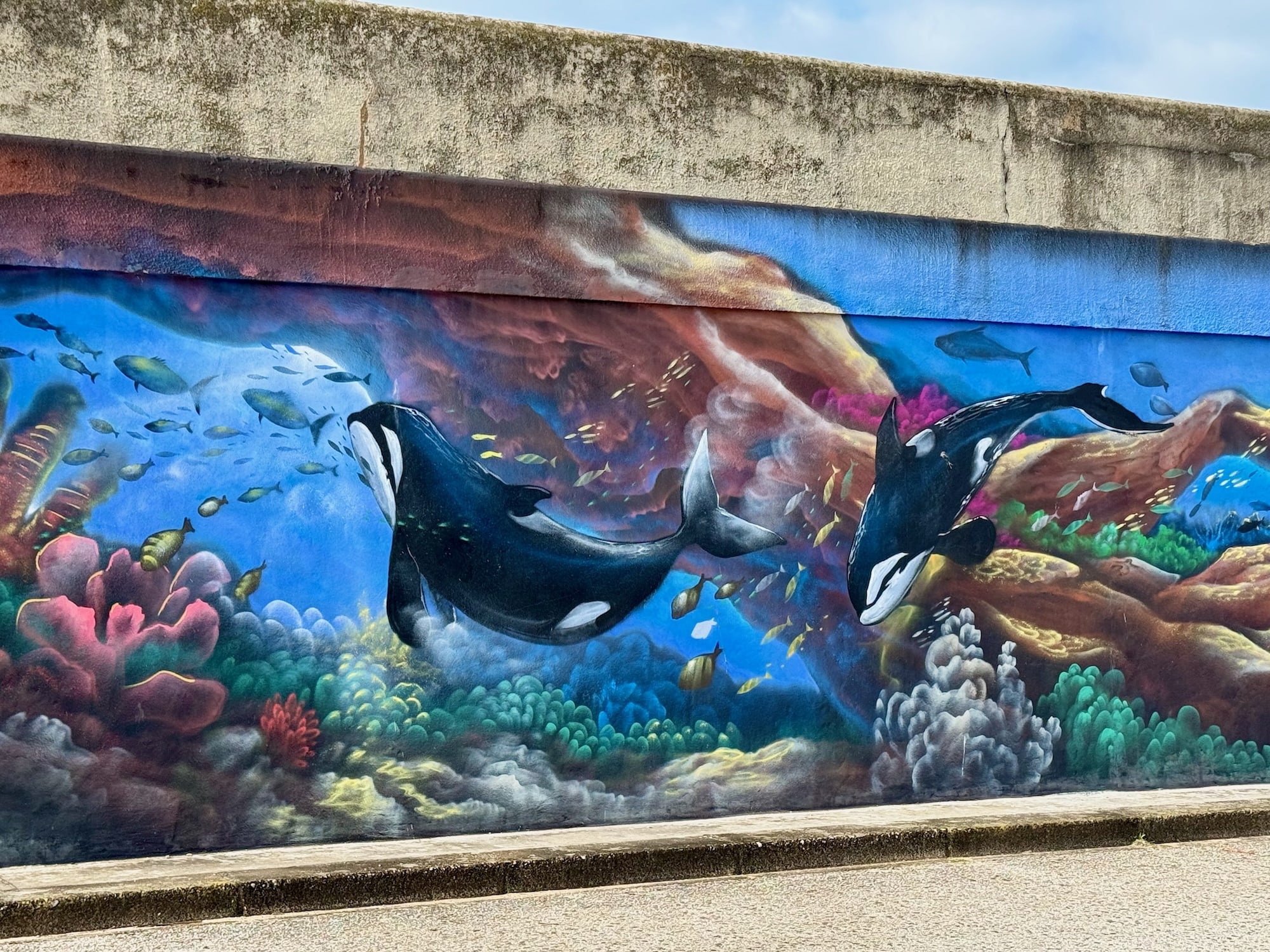 Orcas mal anders