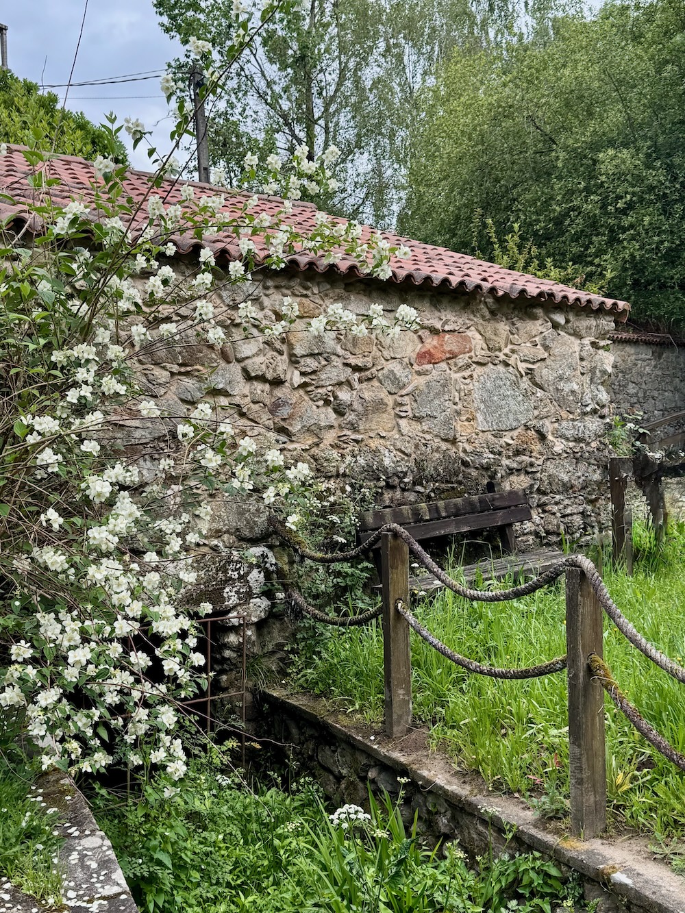 Alte Muehlengebaeude frischer Jasminduft