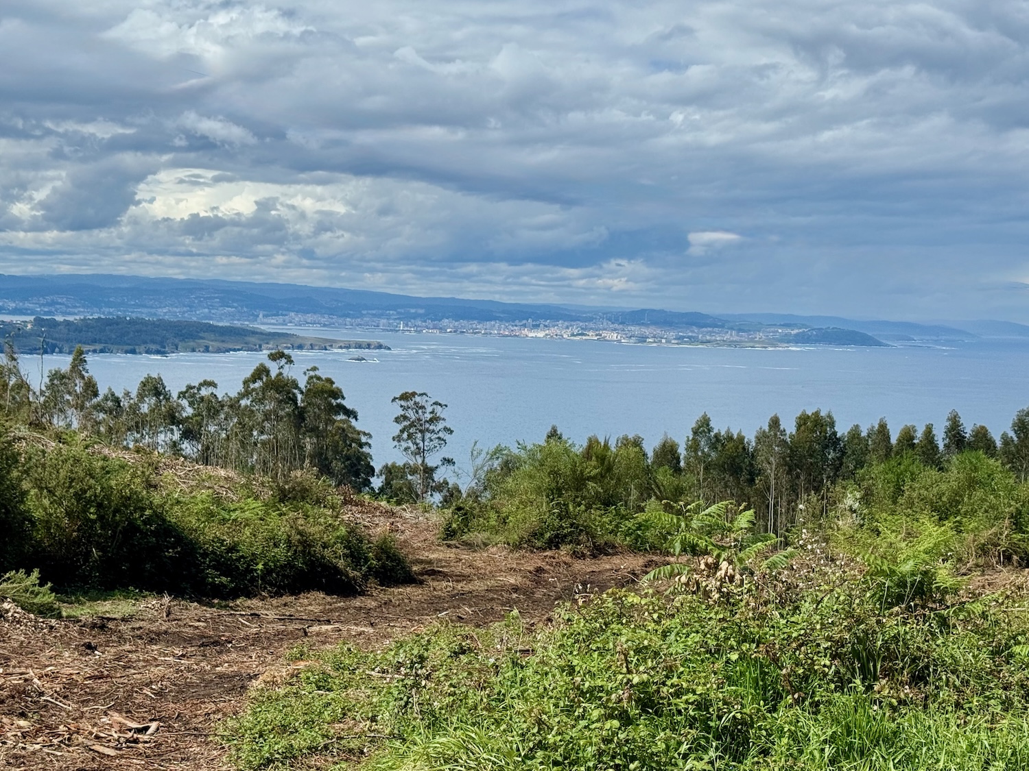 Blick vom Montefaro auf Coruna