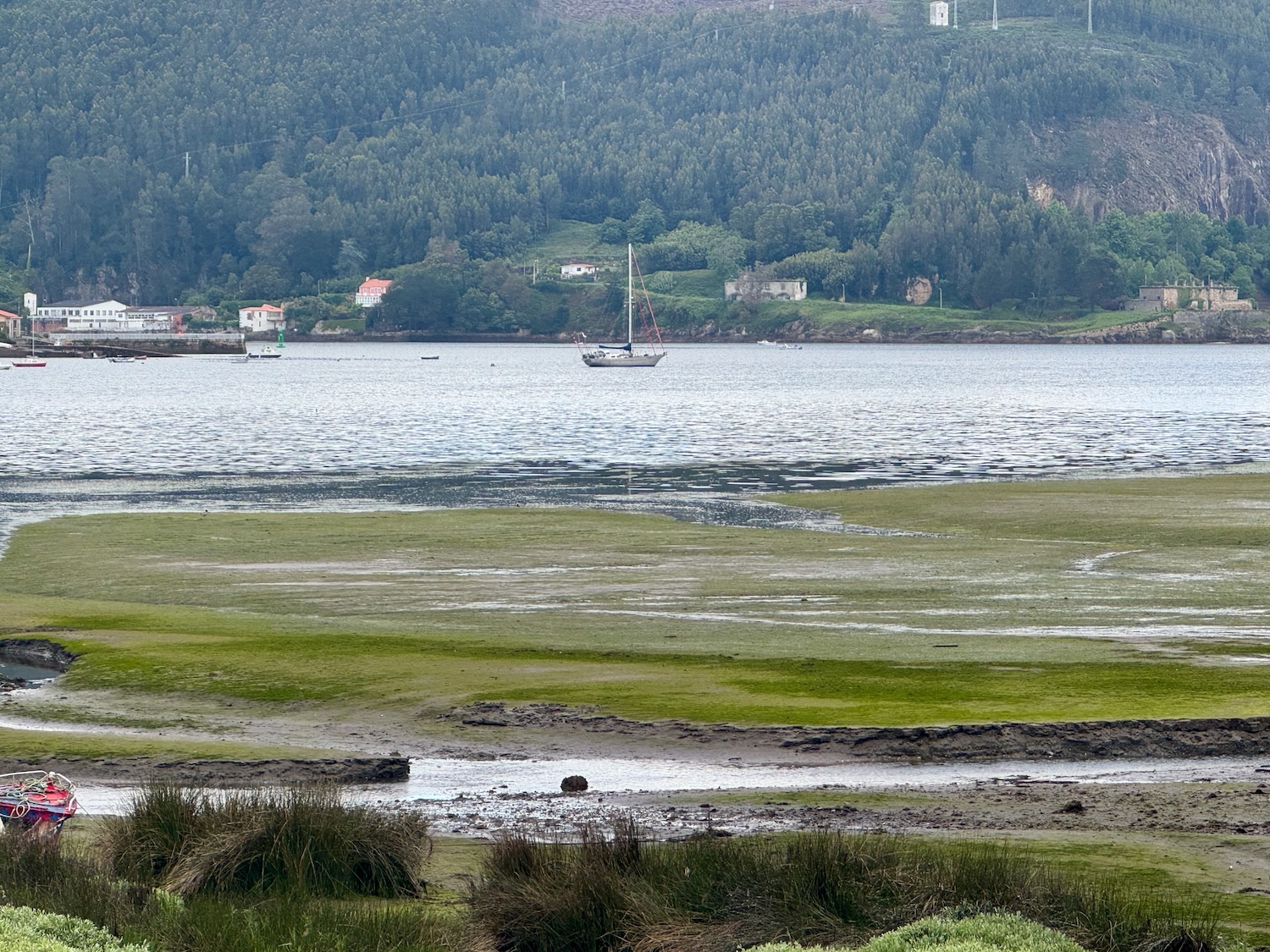 Mugardos Stille Bucht und Frodo mittendrin