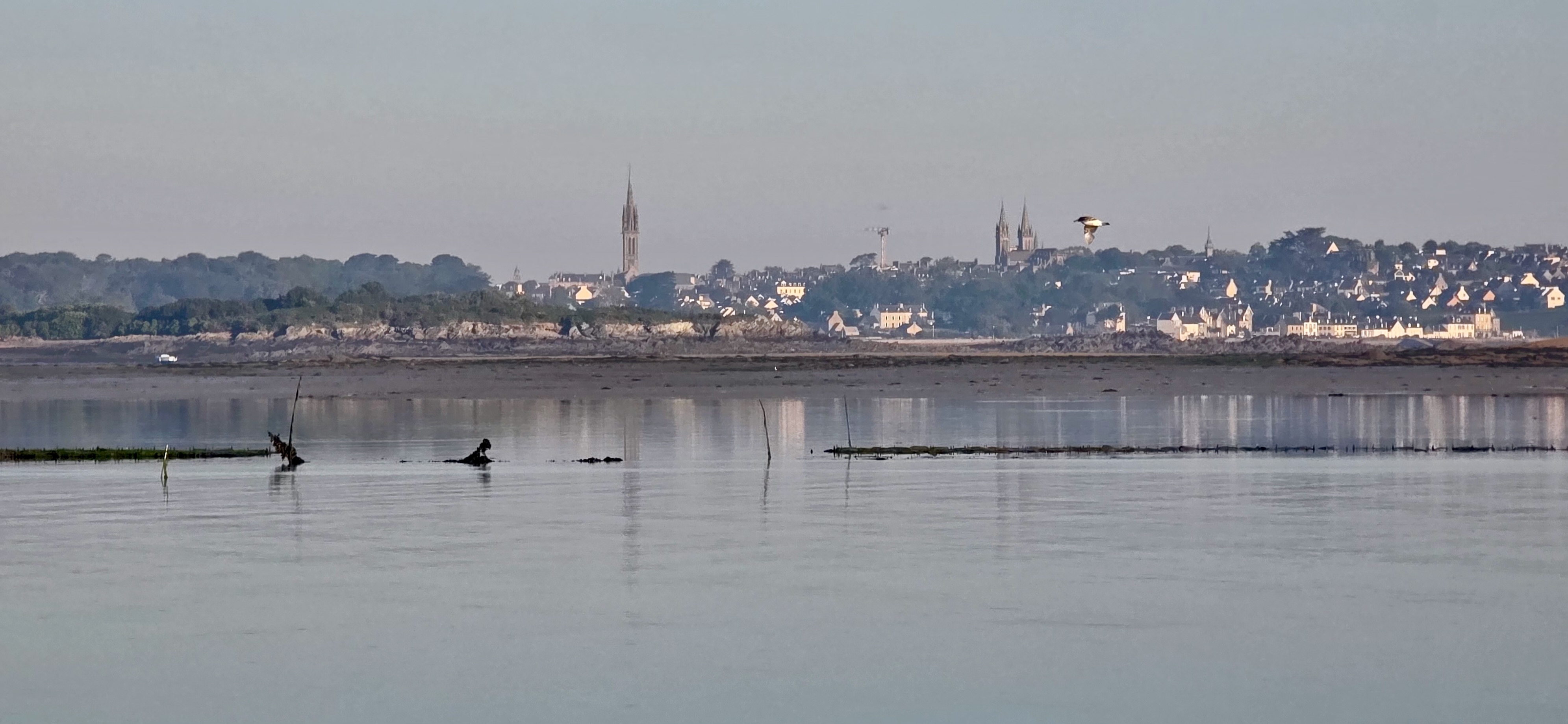 Blick auf Saint Pol de Leon