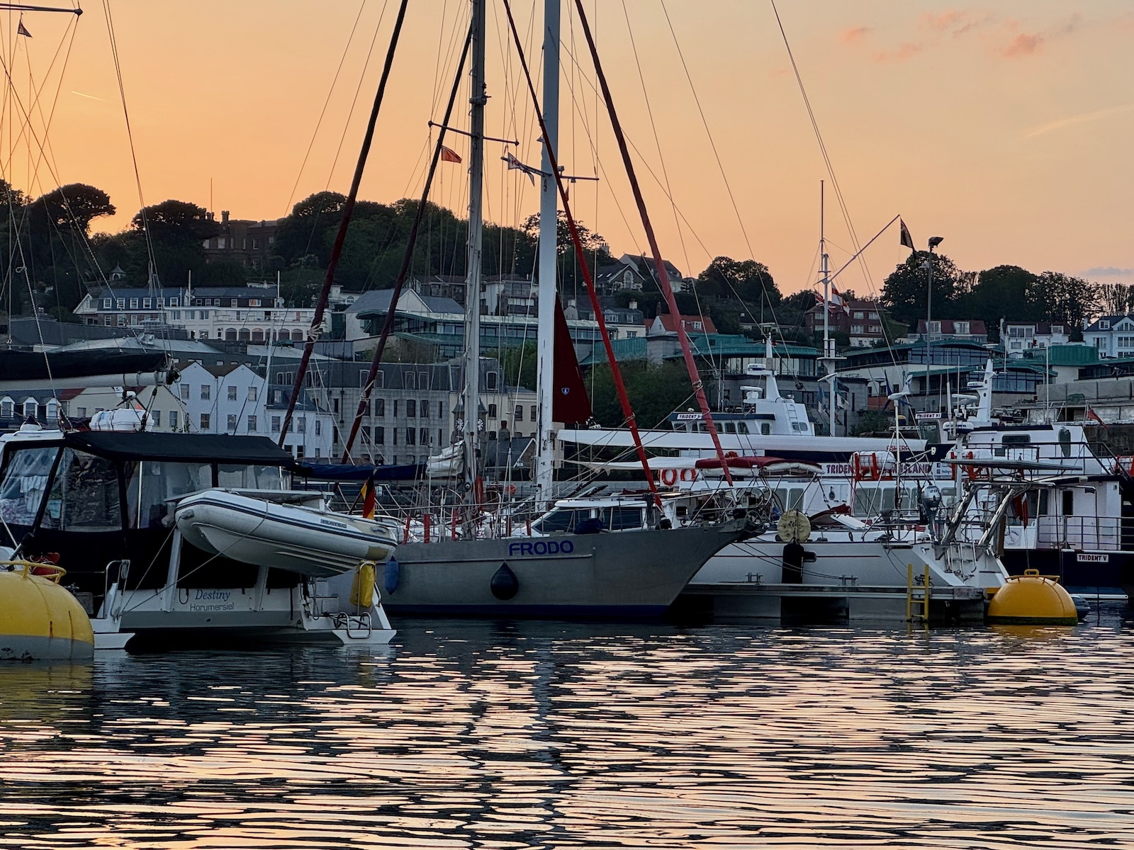 Frodo in der Victoria Marina