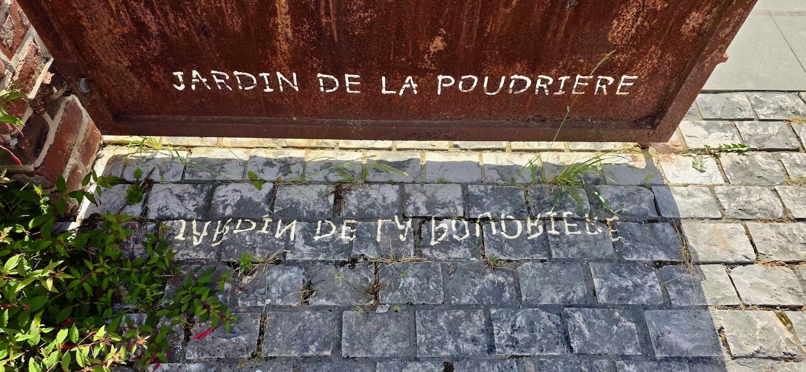 Entdeckt