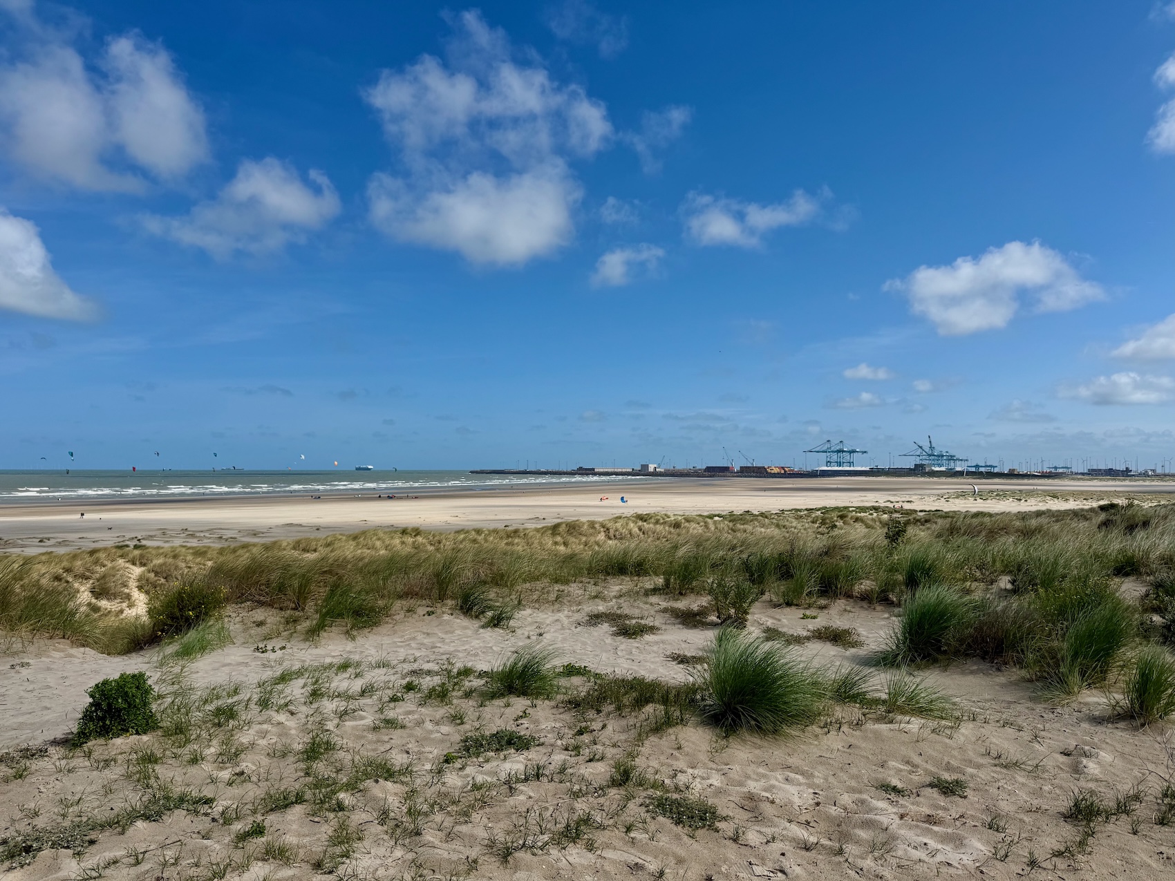 Dünen, Meer, Hafen Zeebrugge