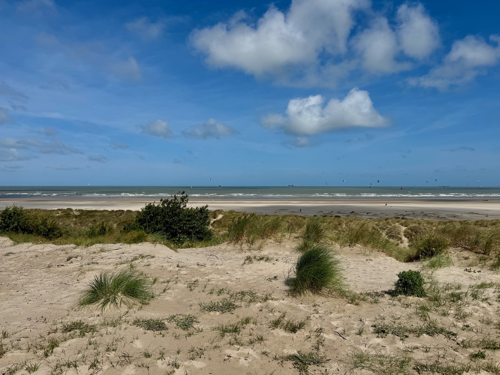 Strandwanderung bei Zeebrugge