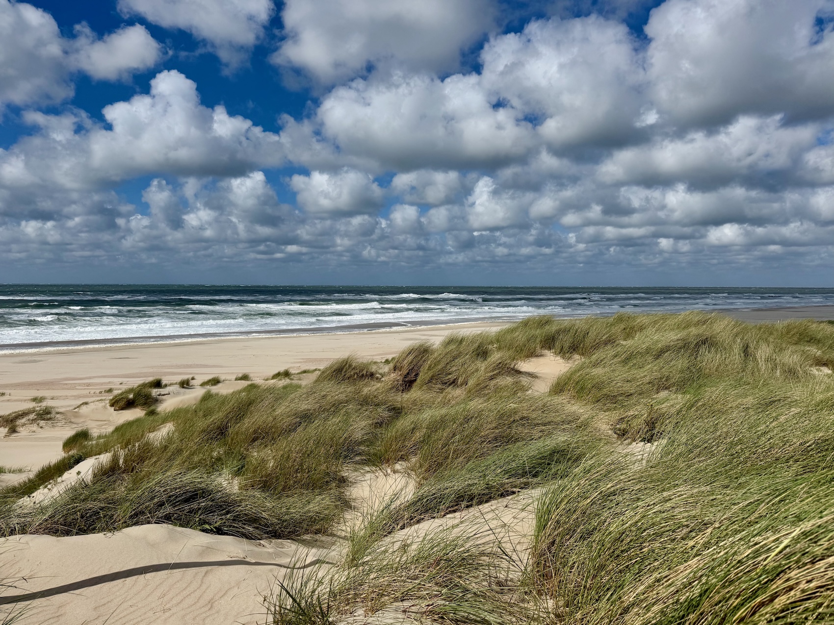 Am sturmgepeitschten Strand