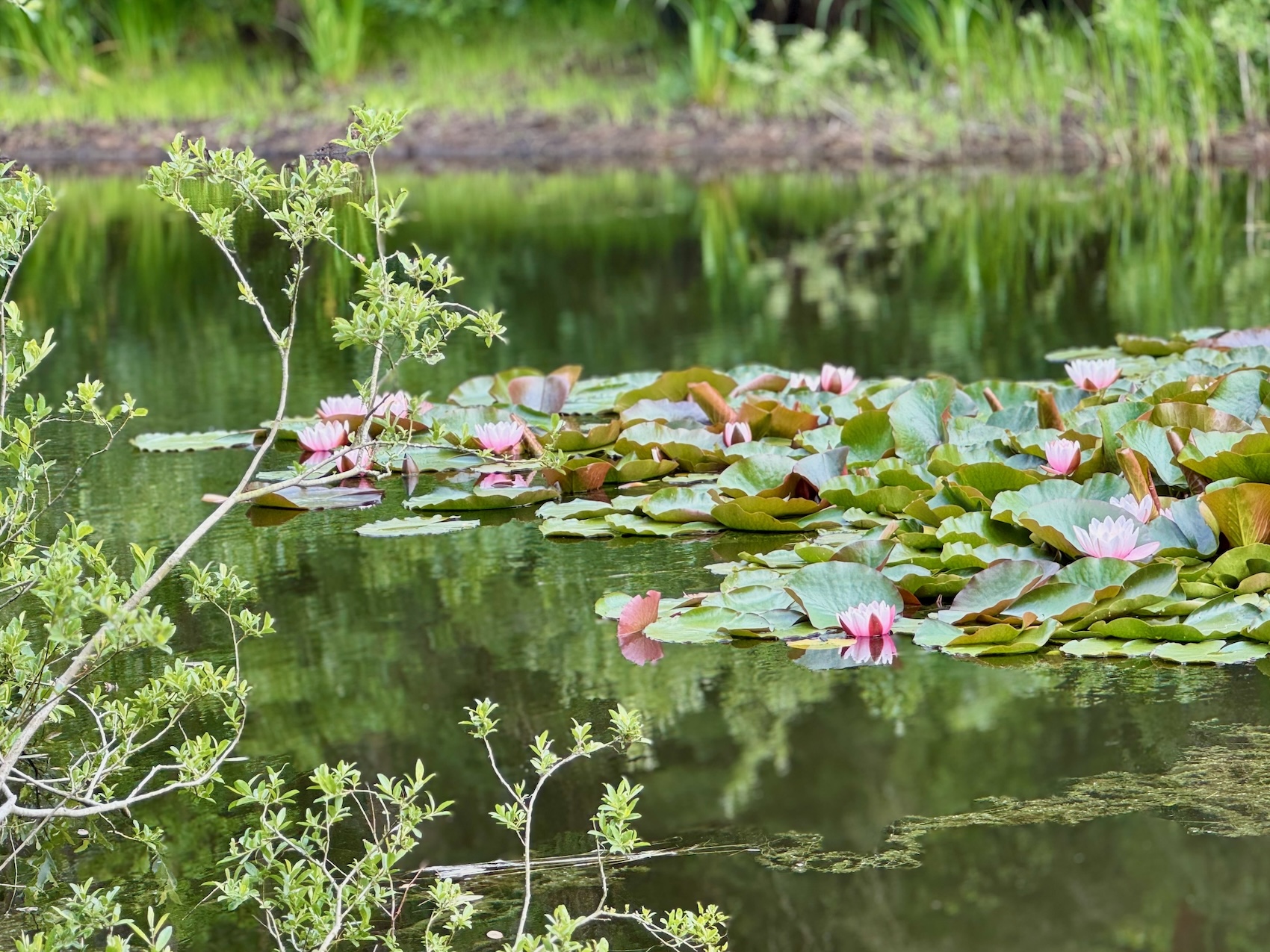 Insel schönheiten