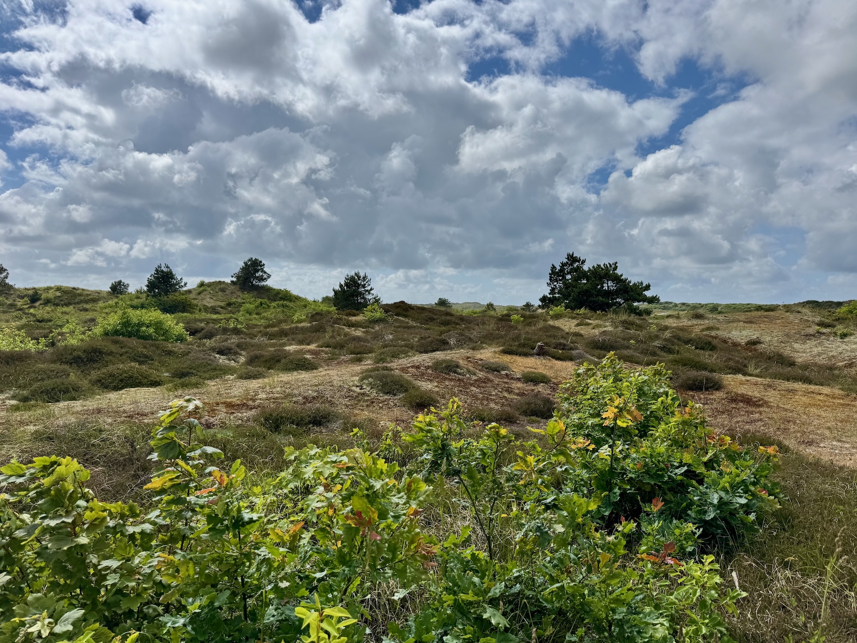 Unterwegs auf der Insel