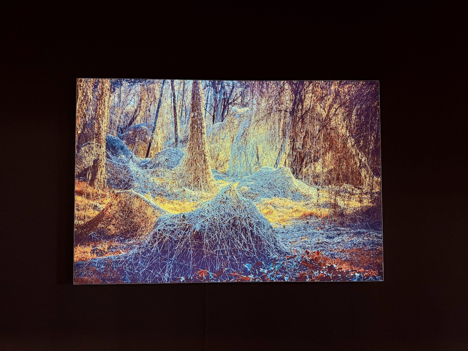 NordArt Michelle Blancke Secret Garden 2