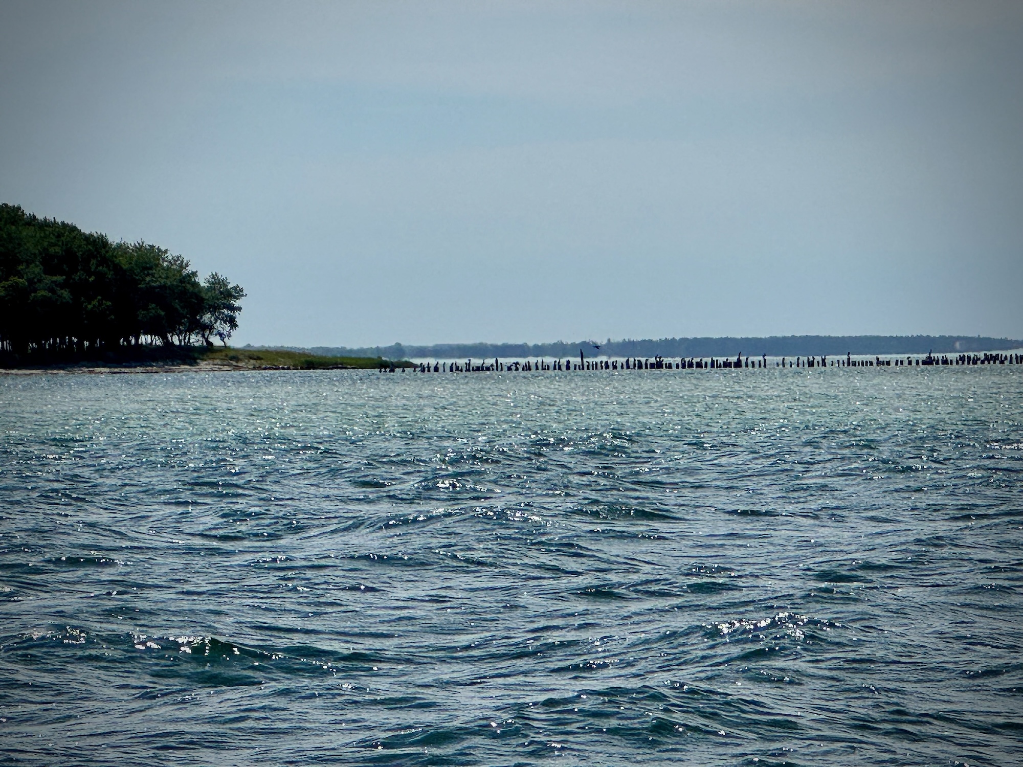 Sehr flach vor Hiddensee