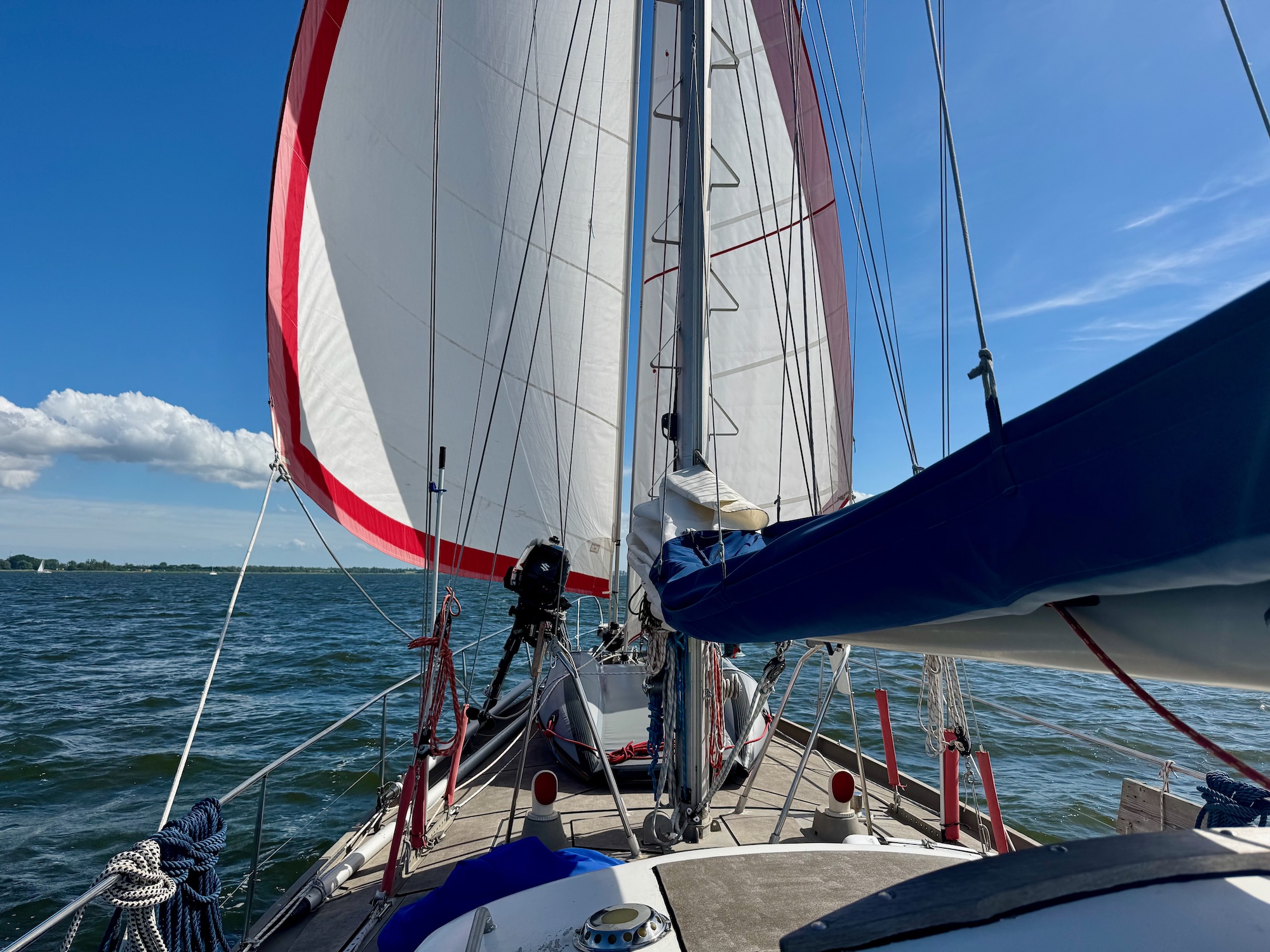 Seltenes Glück mit Schmetterling segeln zu können